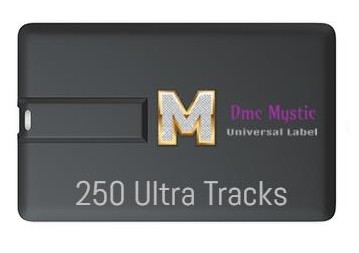 250 Tracks + USB Key Credit Card Usb Credit card package 2