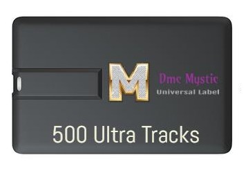500 Tracks + USB Key Credit Card Usb Credit card package 2