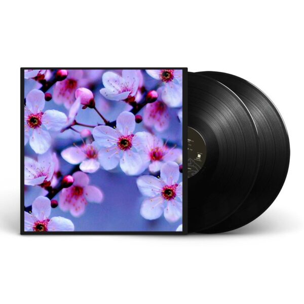 Album Double – Cherry blossom Discography 2